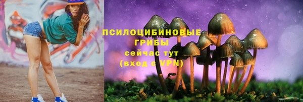 марки lsd Богданович